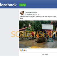 Informasi Penemuan Tikus Raksasa di Mexico City, Cek Faktanya