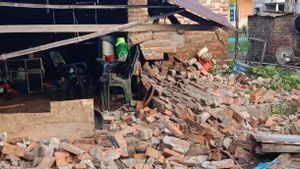 5 Warga Luka Berat dan 100 KK Terdampak Akibat Gempa M 4,7 Guncang Flores Timur 