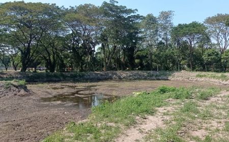 Gali Lahan 1.000 M untuk Danau Buatan RTH Rampung, Pembangunannya Pemkot Mataram Tunggu APBD Perubahan 2023