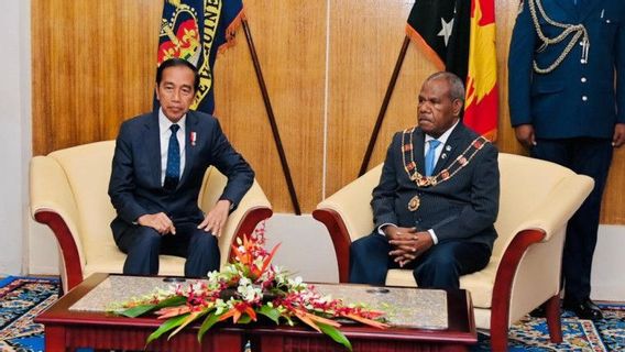 ジョコウィ大統領、パプアニューギニア総督ボブ・ダデと会談