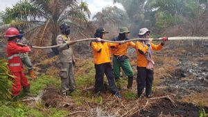 Polres Rohil Tangkap 11 Pelaku Pembakar Hutan dan Lahan