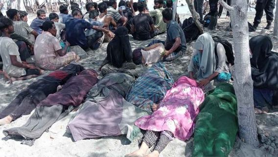 93 Rohingya Immigrants Landed In East Aceh, 6 Died