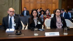 以色列在ICJ法庭上被抗议者大喊“骗子”,称加沙没有种族灭绝
