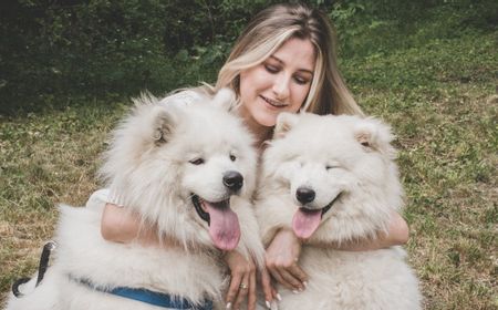 Perusahaan Makanan Anjing Ini akan Membayar Pemilik dan Anjing yang Menjadi Vegan Selama Tiga Bulan