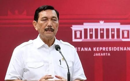 Tugas Dewan Ekonomi Nasional yang Diketuai Luhut Binsar Padjaitan