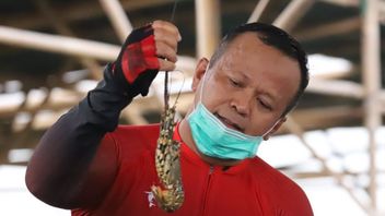 Le Ministre Edhy Prabowo Arrêté Par KPK, KKP: Nous Ne Pouvons Pas Commenter