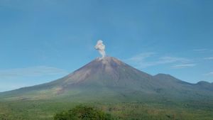 Senin Pagi, Gunung Semeru Lontarkan Abu Vulkanik Setinggi 800 Meter