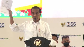 Jokowi Recalls The Hardness Of Being An Entrepreneur: Manage Permits You Have To Pay!