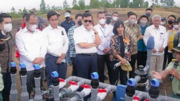 Kawasan Food Estate di Humbahas Dapat Dukungan dari Luhut, Tanda Apa?