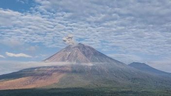 صباح الجمعة، انفجر جبل سميرو مرة أخرى، احذروا من السحب الحارة!