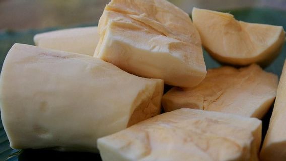 Ragam Manfaat Tape Singkong untuk Kesehatan: Bantu Jaga Sistem Pencernaan hingga Atasi Anemia 