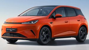 Pas seulement une BEV pure, la BYD Dolphin G DM-i est prête à pénétrer le marché avec la technologie DM-i