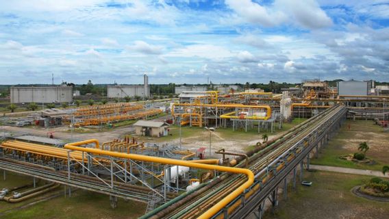 PHE 2025年上半年的石油和天然气产量达到每天1.04亿桶石油当量