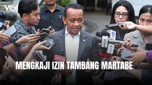 Menteri ESDM Bicara Tambang Martabe, Ternyata Masih Dikaji, Belum Dicabut Secara Administrasi