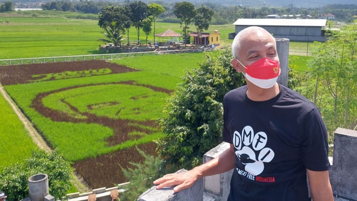 Rice Fields With Pictures Of Ganjar Pranowo's Face Will Soon Be Turned Into A Tourist Village