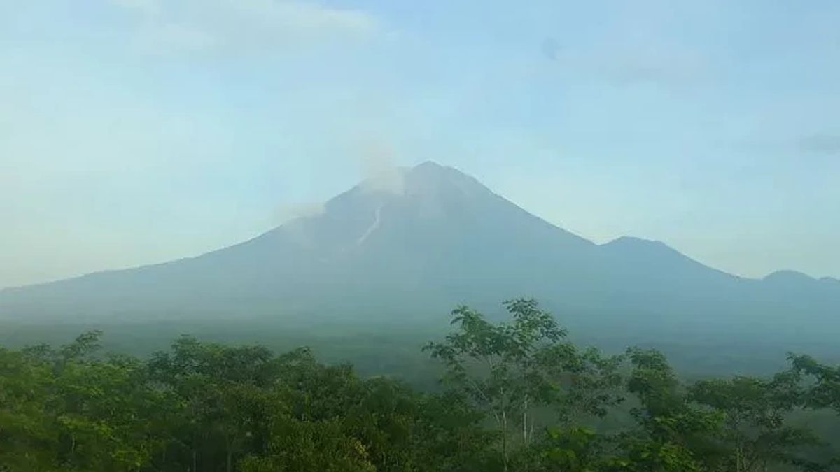 Longsor Threat On Mount Ranai, Riau Islands BPBD Calls Disaster Signs Seen