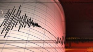 Gempa Bumi Magnitudo 5,5 Guncang Bayah Banten