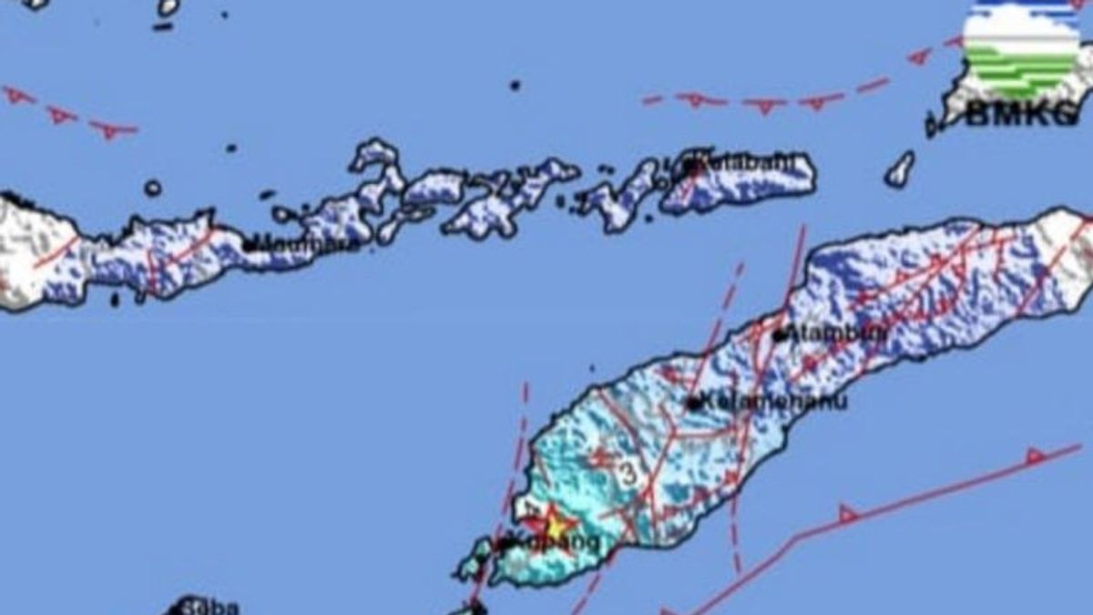 الزلزال الأخير ، Larantuka NTT والمناطق المحيطة بها تذبذبت بقوة 5.1 درجة