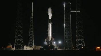 猎鹰9 SpaceX 发射 28 颗Starlink卫星,达到第130飞行