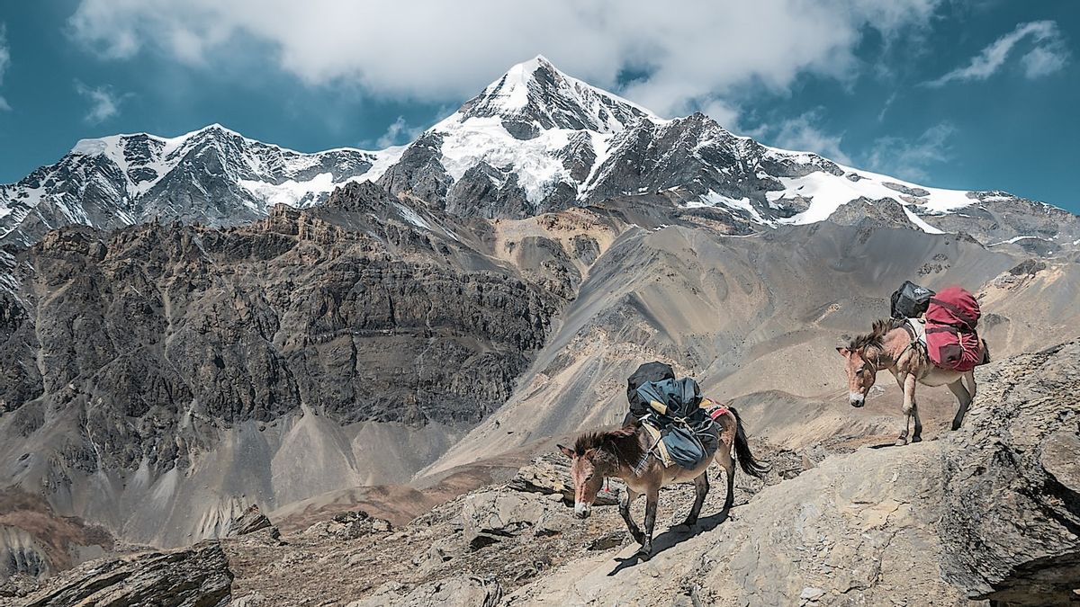 Chinese And Indian Troops Reported Contacts At The Himalayan Border But Beijing Rejects Recognition