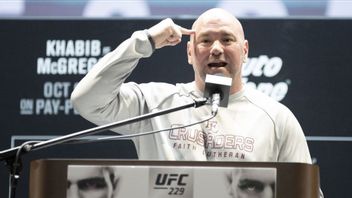 Fedor Emelianenko Vs Brock Lesnar Jadi Pertarungan yang Menyisakan Penyesalan untuk Presiden UFC Dana White: Itu Tak Bisa Saya Selesaikan