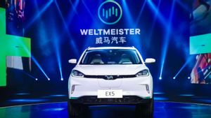 Bangkit dari Keterpurukan, Weltmeister Siap Kembali ke Arena EV Global