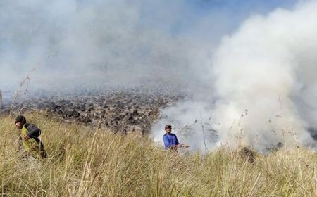 BPBD Probolinggo Terjunkan Puluhan Personel Padamkan Kebakaran Bukit Teletubbies Bromo Gara-gara Flare Prewedding