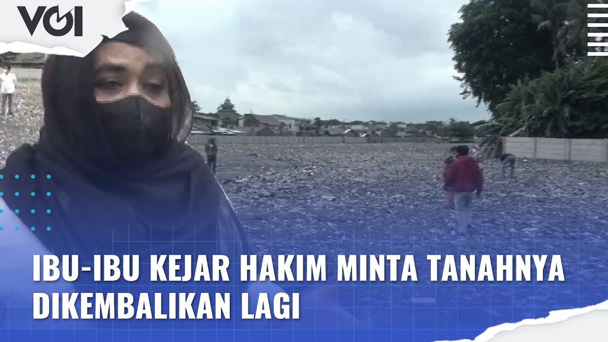 视频：要求归还土地，母亲追求法官