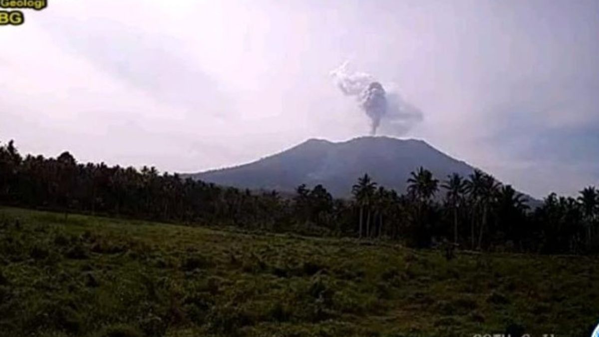 Mount Ibu Maluku Utara Erupsi, Abu Colombol As High As 800 Meters