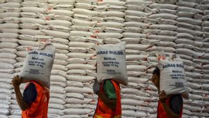 Produksi Beras Lebak Selama 6 Bulan Surplus 189.663 Ton