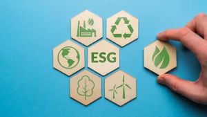 Terapkan ESG, Citi Indonesia Berencana Kurangi Porsi Pendanaan ke Batu Bara