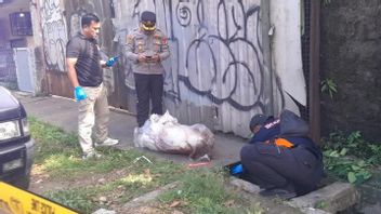 Mayat Dalam Karung di Batuceper Diduga Tewas 2-3 Hari Sebelum Ditemukan