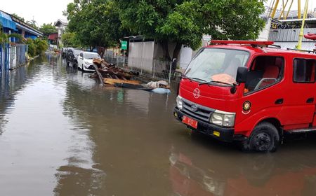 Denpasar-Badung Bali Banjir, Pohon Tumbang