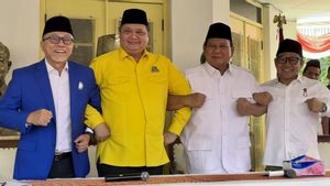 Soal Dukung Prabowo, PAN-Golkar Dinilai Lebih Nyaman Koalisi dengan Gerindra-PKB Dibandingkan PDIP