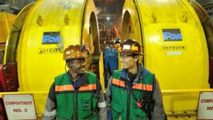 China Dekati Freeport Indonesia untuk Bangun Smelter Tembaga di Halmahera