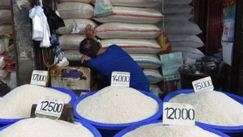 Harga Beras Tinggi Sejak 1980-an, Ini Catatan SEAMEO BIOTROP