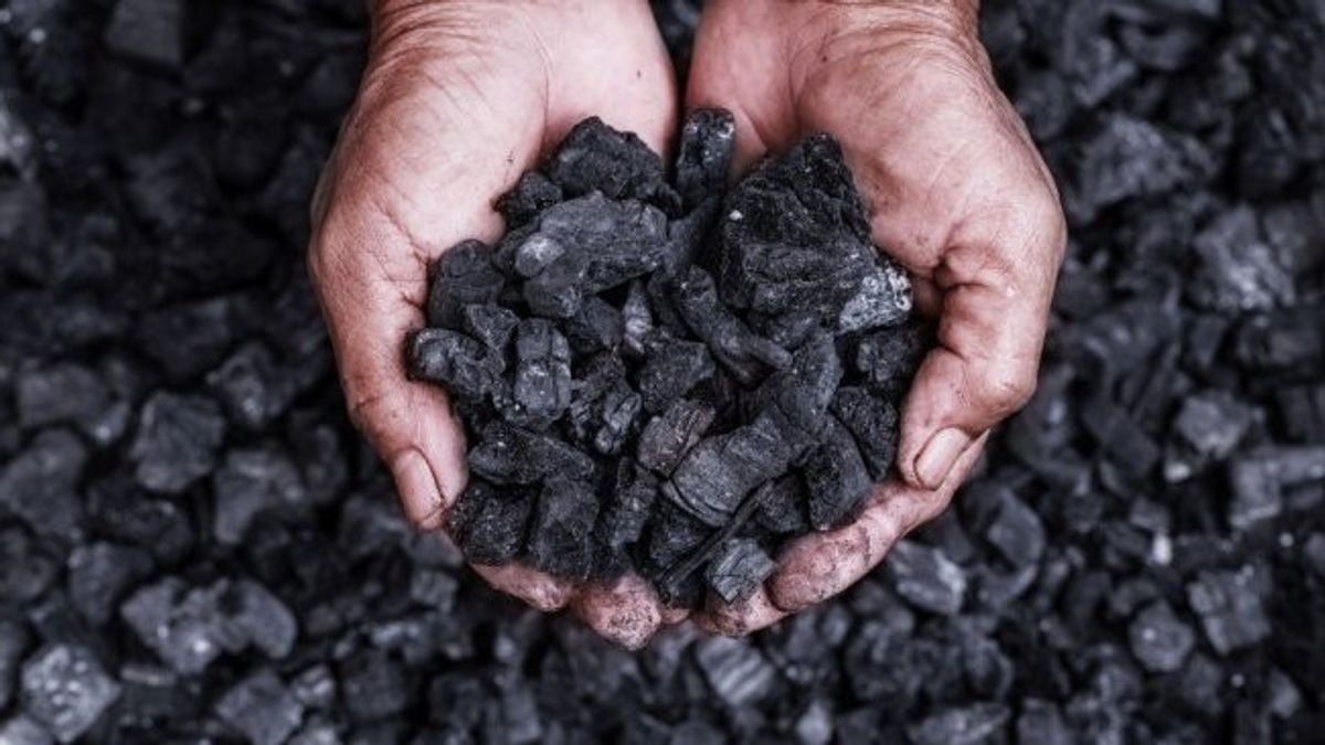 政府拒绝能源转型缓慢的假设，因为煤炭的钱很诱人