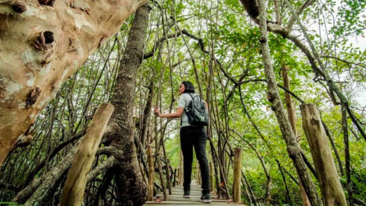 印尼通过人力资源研究与发展加强绿色旅游的实施