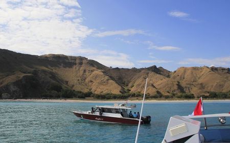 'Panas Dingin' Pelaku Pariwisata di Labuan Bajo NTT Dengar Kabar Tiket ke TN Komodo Naik