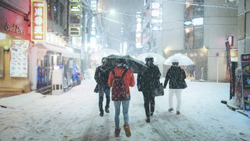 東京で130人以上が負傷した大雪