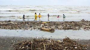 海洋事务协调部:海洋塑料废物泄漏量下降256,614吨