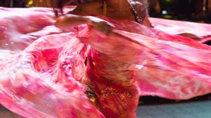 Klarifikasi Keluarga Eks Dirut Transjakarta Soal Rapat Sambil Nonton Belly Dance