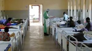 WHO Catat 48 Kasus Ebola di Kongo, 31 Orang Meninggal