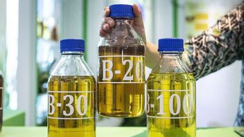 Penerapan Biodiesel B35 Diharapkan Mampu Dongkrak Harga TBS Sawit