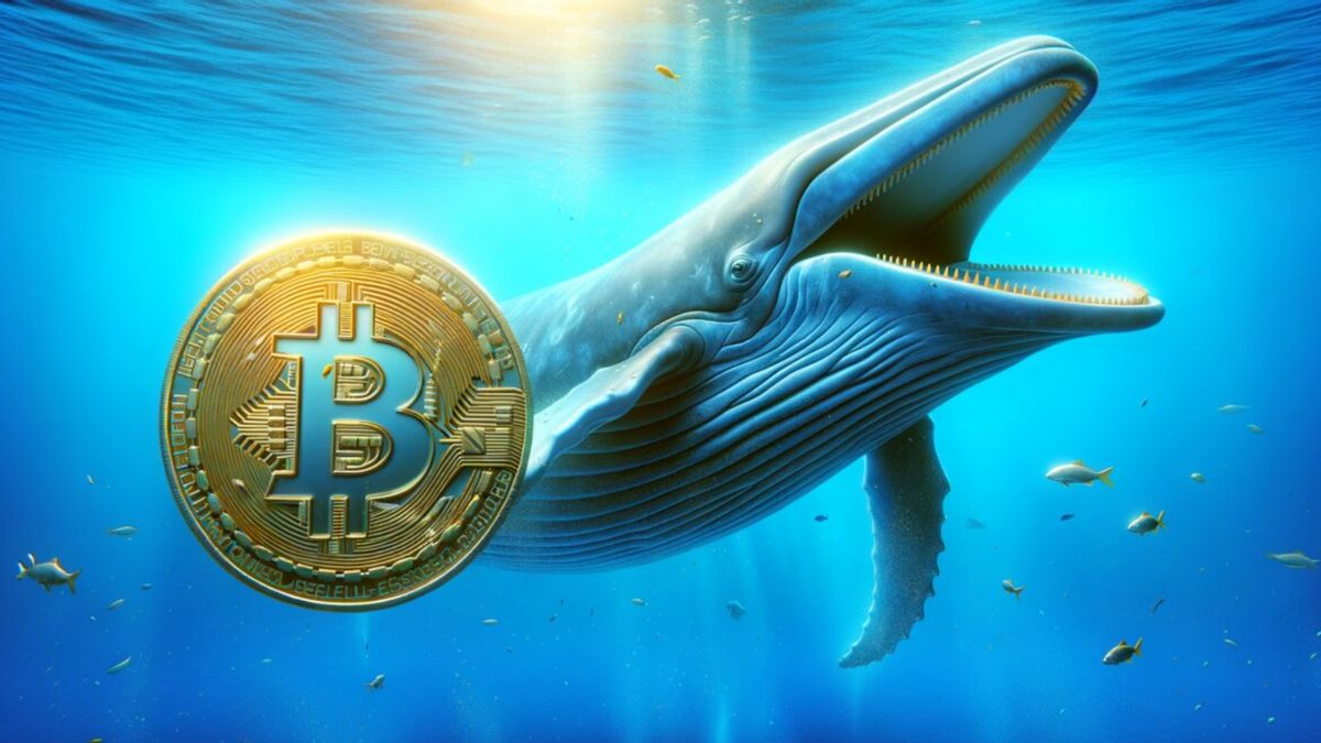 Whale Crypto: Sa compréhension et son impact sur le marché de la cryptographie