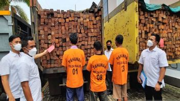 South Kalimantan Police Confiscate Hundreds of Ironwood from Illegal Logging