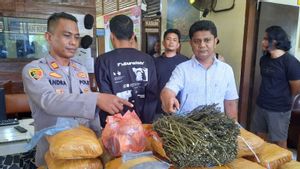 36 Kg Ganja Ditemukan di Perpustakaan SD Padang Pariaman