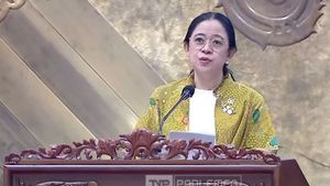 Puan soal Dana Reses Dipangkas Jadi 22 Titik: Saya Diskusikan Dulu dengan Pimpinan Lain