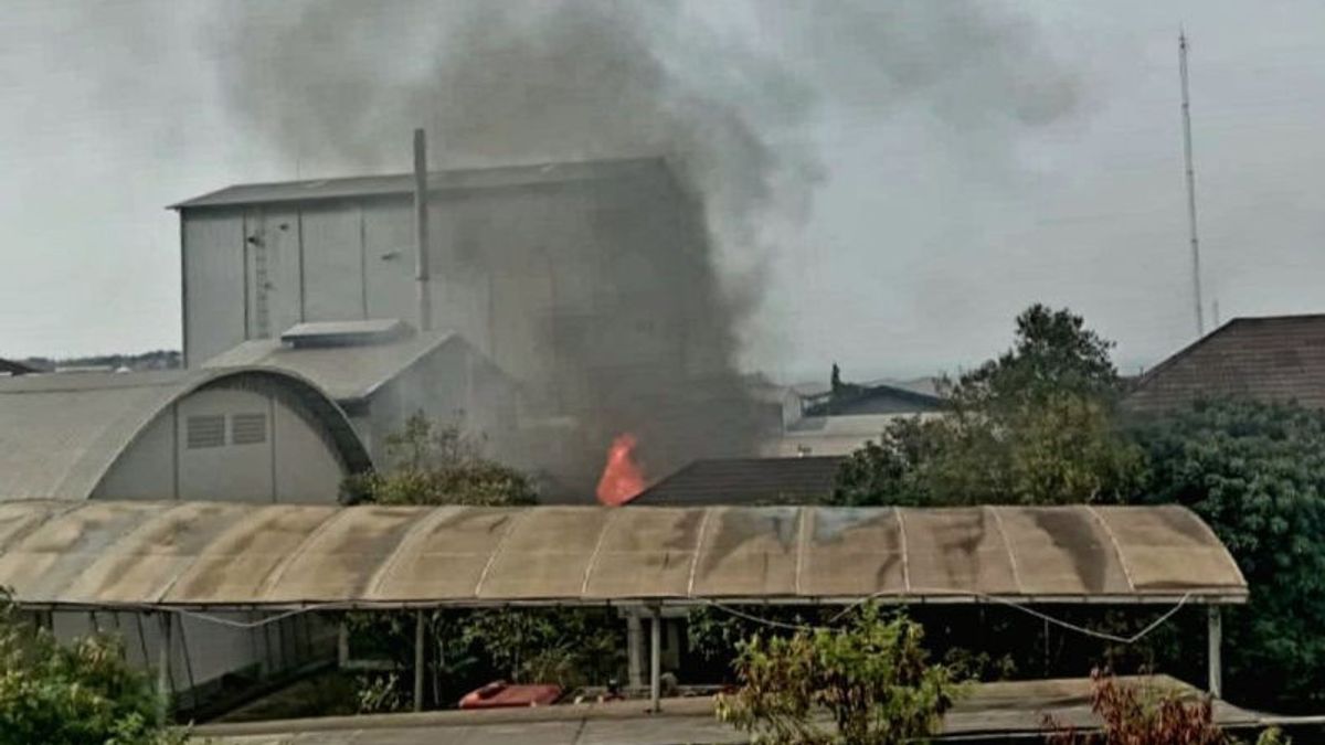 三宝垄寺工业区的幼苗仓库被烧毁
