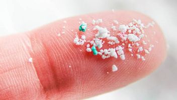 Partikel Plastik Kecil Ditemukan dalam Arteri Pasien Stroke, Apa Penyebabnya?